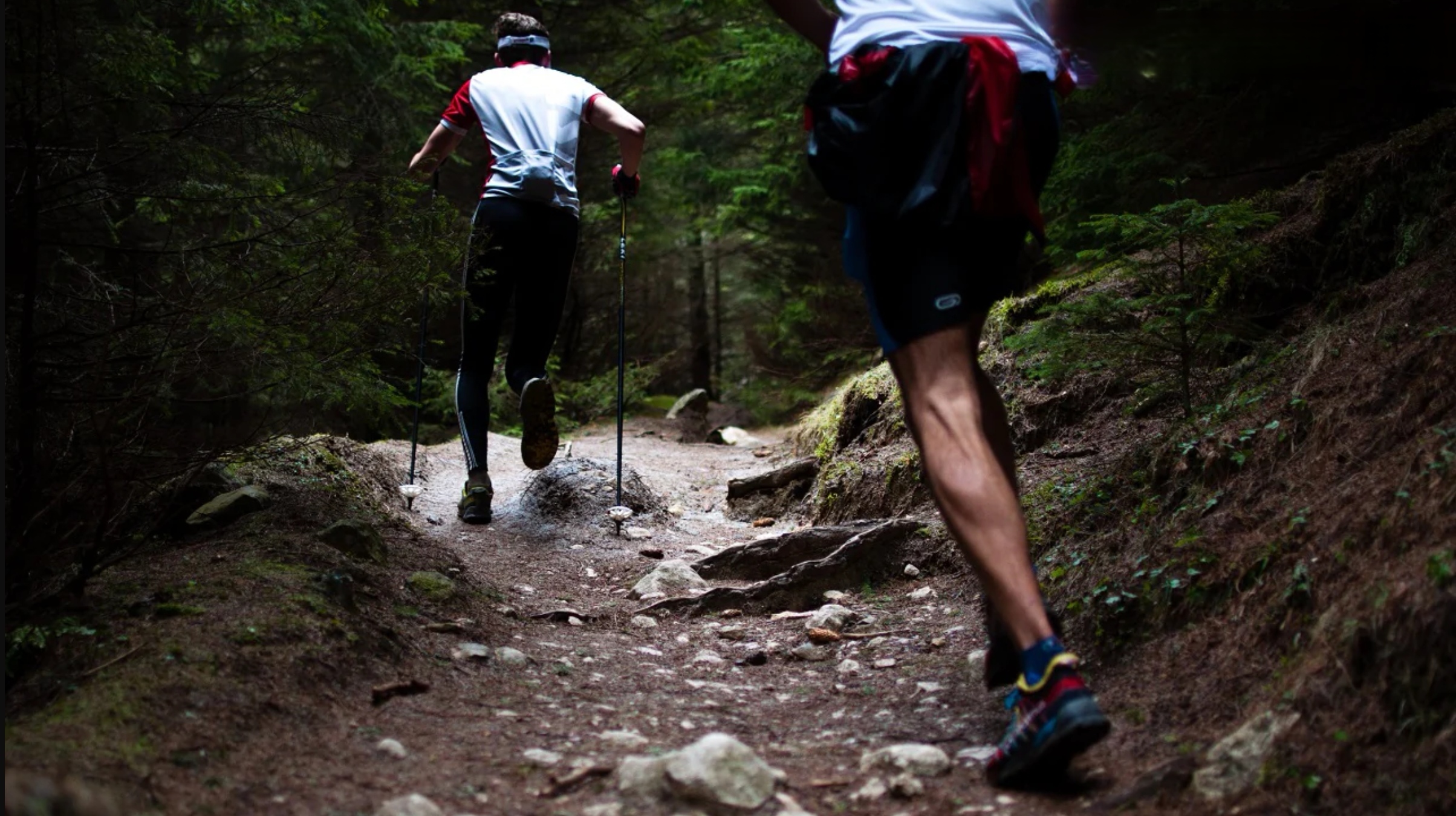 Ilustrasi trail run.