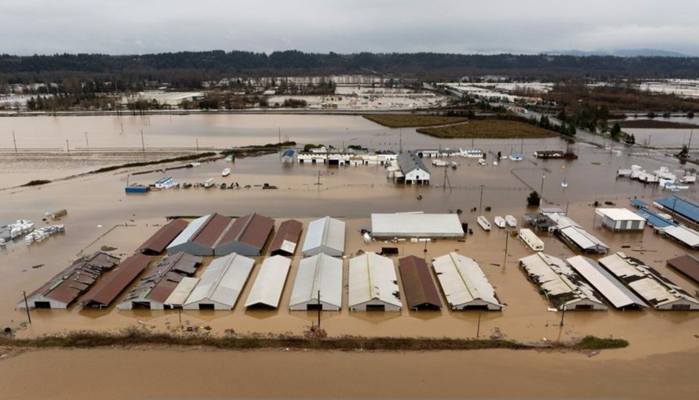 Kondisi salah satu wilayah di Washington yang terendam banjir.