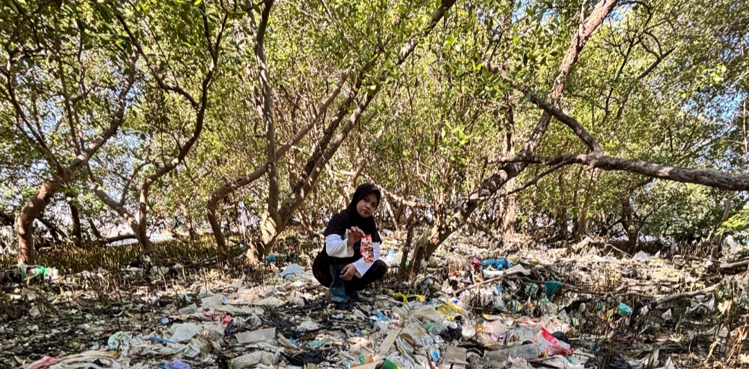 Hilangnya mangrove menjadi salah satu penyebab utama banjir rob yang kerap terjadi di pesisir. 
