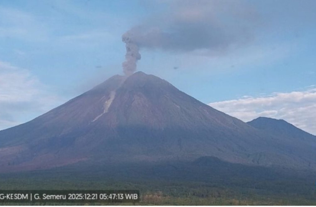 Gunung Semeru erupsi dengan tinggi letusan mencapai 1.200 meter di atas puncak pada Minggu (21/12/2025) pagi pukul 05.46 WIB.