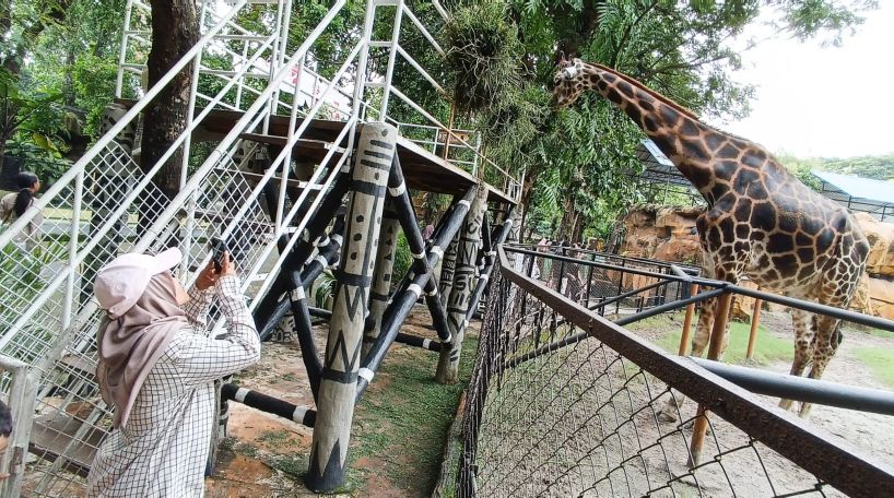 SAMBUT LIBUR NATARU: Suasana di Kebun Binatang Surabaya (KBS), yang masih menjadi idola masyarakat Surabaya dan sekitarnya sebagai tempat wisata.