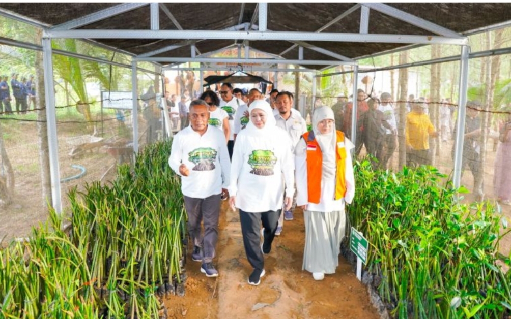 Gubernur Jatim Khofifah Indar Parawansa (tengah) didampingi Bupati Pacitan Indrata Nur Bayuaji (kiri) meninjau sentra pembibitan mangrove saat gelaran Festival Mangrove ke-9 di Pacitan.