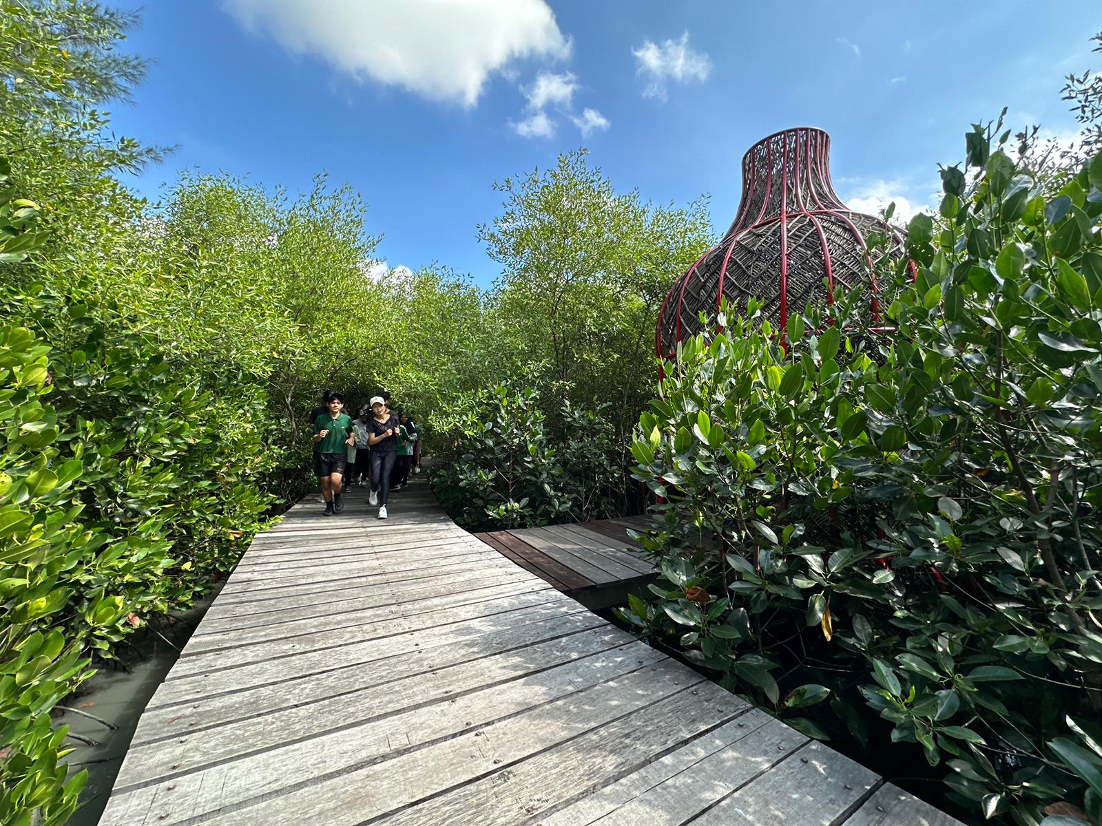 ASRI: Kebun Raya Mangrove Surabaya menjadi laboratorium alam dna tempat wisata di Surabaya. (IST/RADAR SURABAYA)