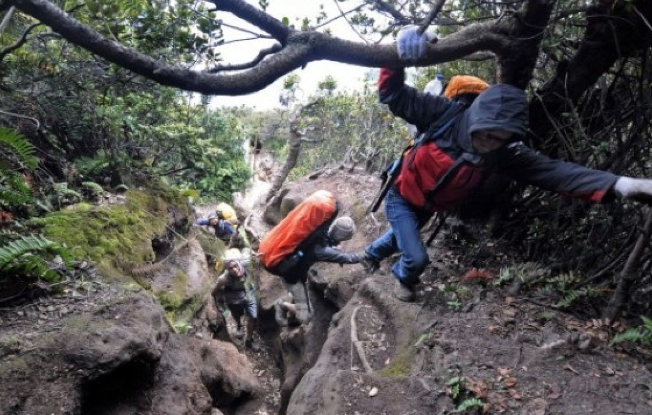 Ilustrasi pendaki di Gunung Slamet.