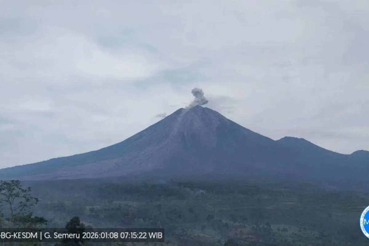 Gunung Semeru di Lumajang kembali erupsi. (IST)