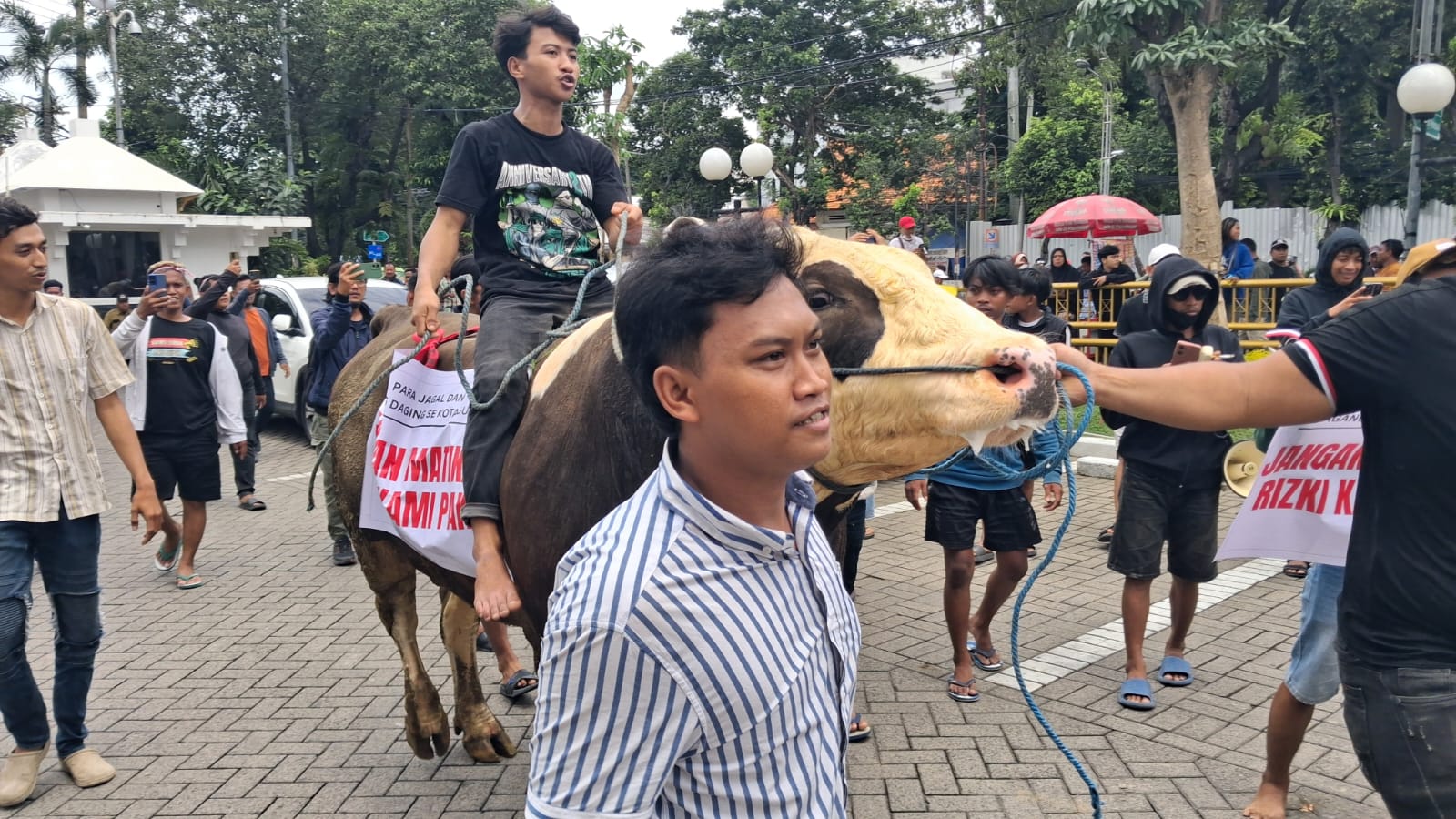 MENOLAK: Jagal RPH Pegirian membawa sapi masuk ke halaman DPRD Surabaya. Mereka protes terkait relokasi RPH di Tambak Osowilangun, Surabaya. (DIMAS MAHENDRA/RADAR SURABAYA)
