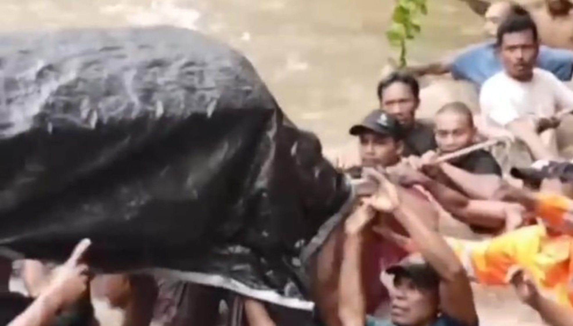 Warga Desa Salube, Kecamatan Loloda Kepulauan, Maluku Utara bahu membahu menggotong jenazah menyeberangi sungai karena jembatan rusak.