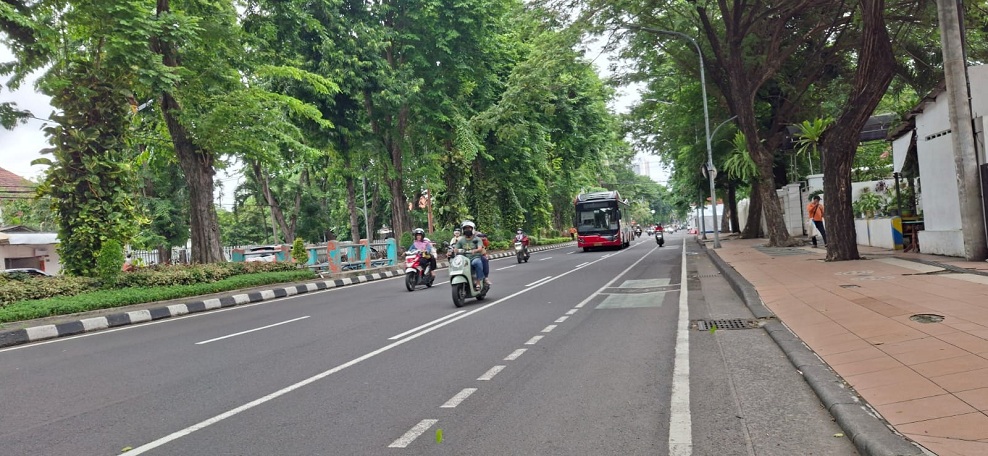 HIJAUI: Lalu lalang kendaraan umum dan pribadi di Jalan Darmo Surabaya.