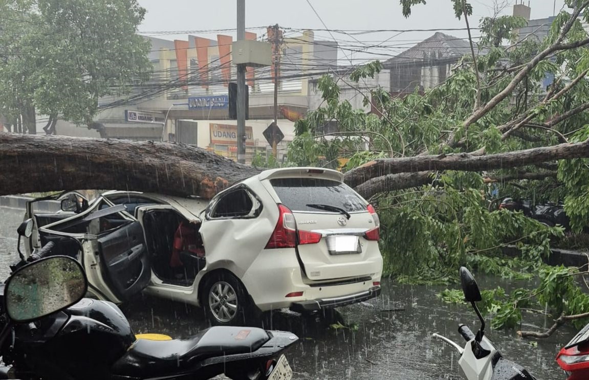 RAWAN: Pohon tumbang saat hujan angin beberapa waktu lalu menimpa mobil.