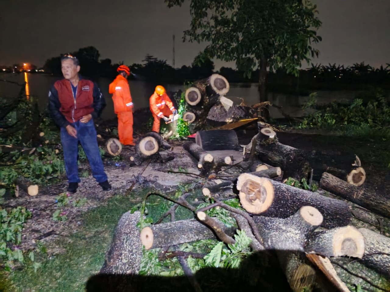 BERSIH-BERSIH: Petugas BPBD Sidoarjo membersihkan pohon yang tumbang dan merusak rumah warga di Candi, Sidoarjo, usai angin kencang menerjang dua desa di sana.(IST/RADAR SURABAYA)