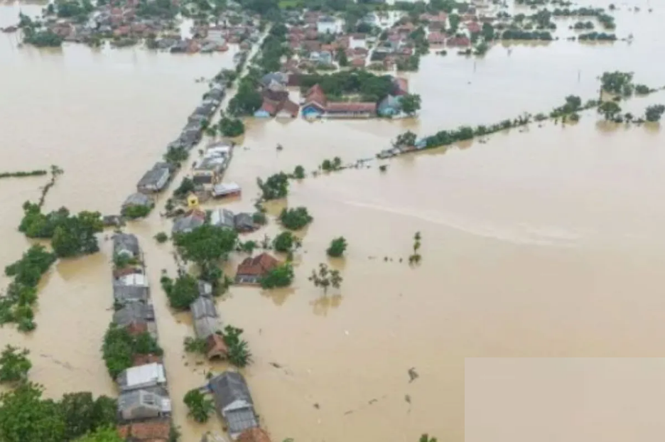 &nbsp;Kawasan permukiman warga dan areal sawah terendam banjir di Karawang. (IST)