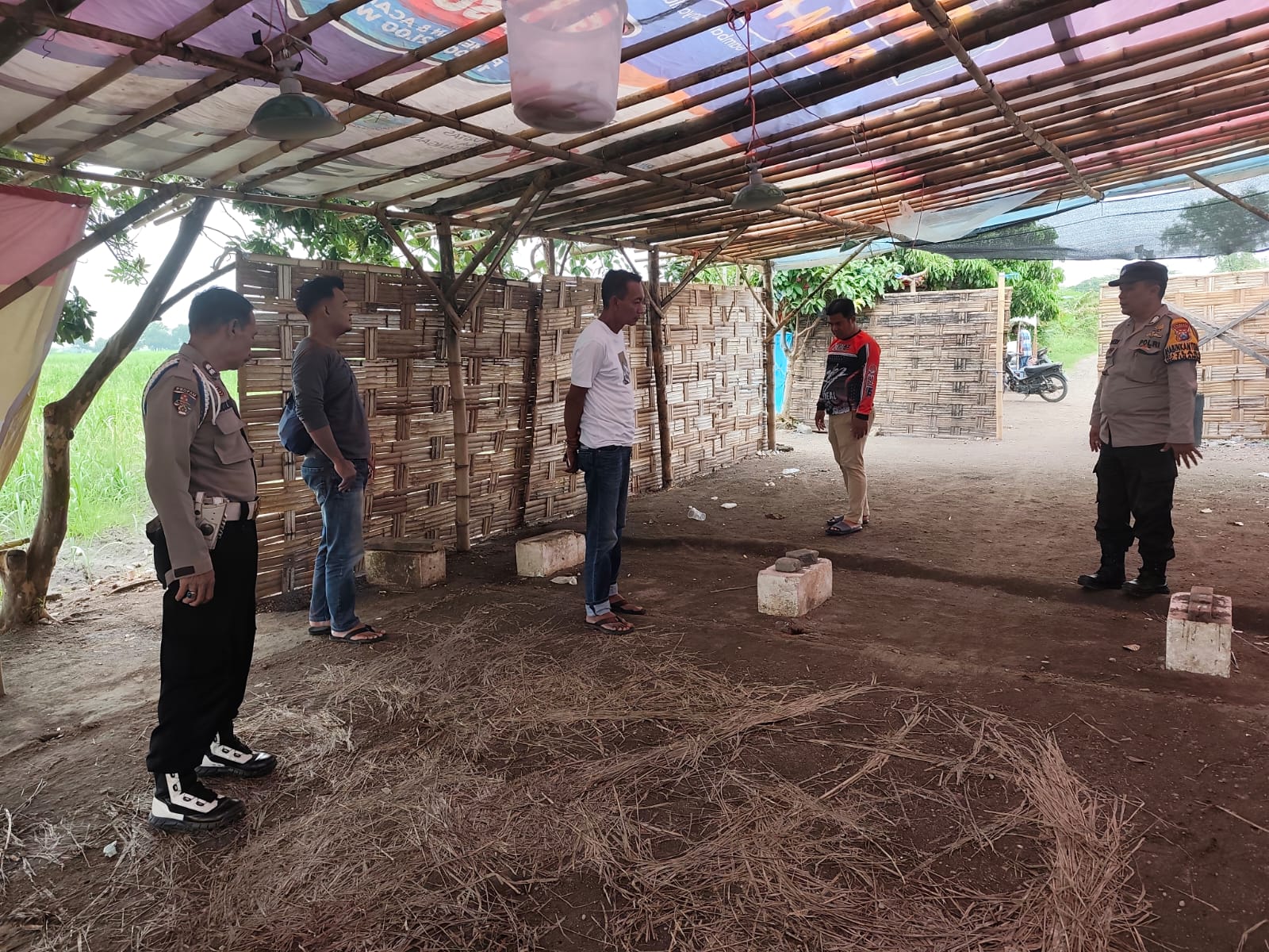 DIPERIKSA: Polsek Tulangan mendatangi lokasi yang diduga digunakan sabung ayam di Desa Kepadangan, Tulangan, Sidoarjo. (IST/RADAR SURABAYA)
