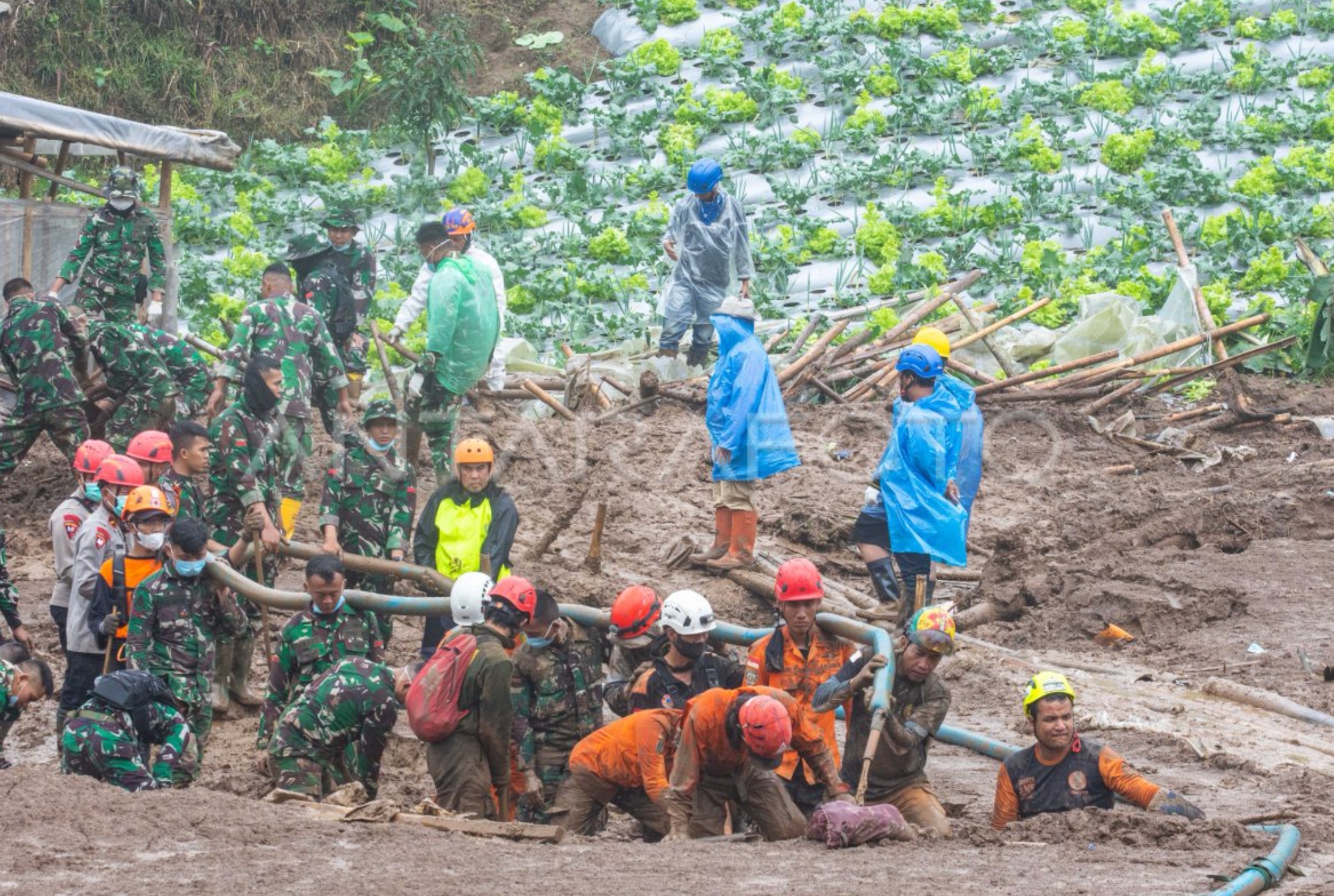 Tim SAR gabungan bersama anggota TNI, Polri, dan relawan terus melakukan pencarian korban longsor di Desa Pasirlangu, Kecamatan Cisarua, Kabupaten Bandung Barat.