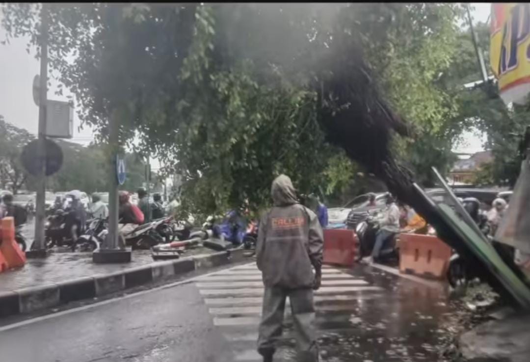 DITANGANI: Beberapa pohon tumbang usai hujan lebat disertai angin kencang terjadi di Surabaya.(IST/RADAR SURABAYA)