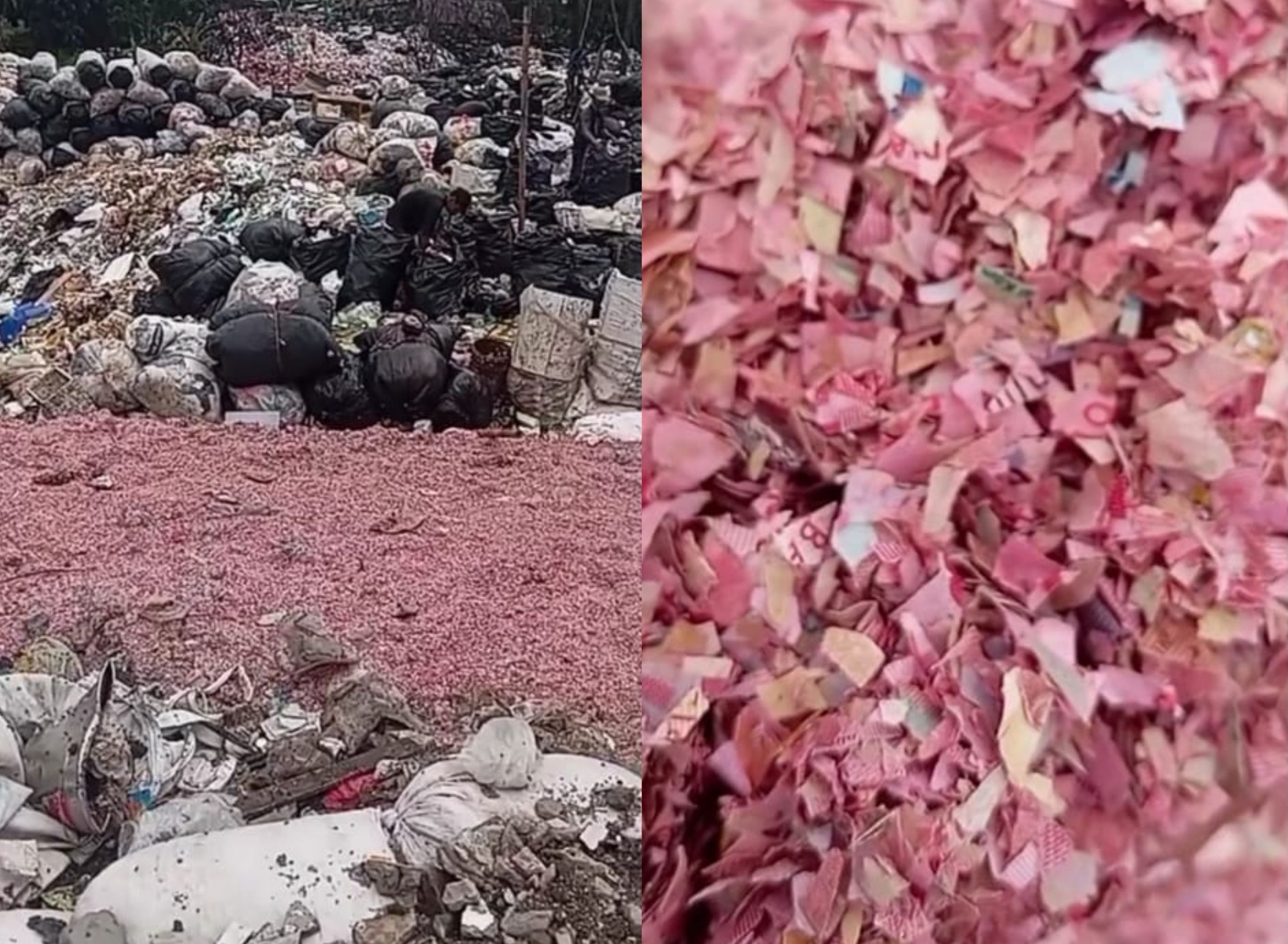 cacahan kertas diduga uang pecahan Rp 100 ribu dan Rp 50 ribu di TPS liar Desa Taman Rahayu.