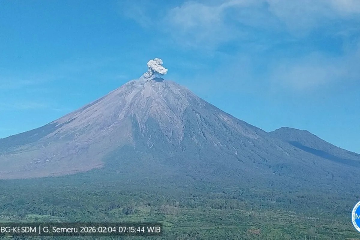 Gunung Semeru erupsi lagi setelah sempat nonaktif. (IST)