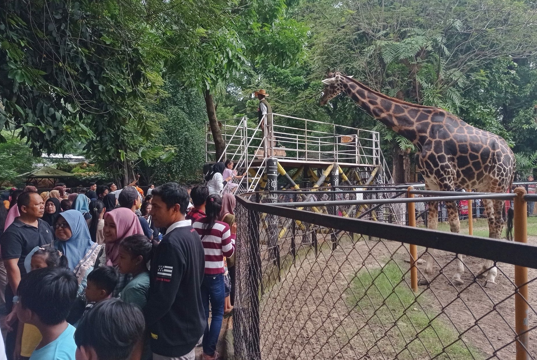 Kejati Jatim melakukan penggeledahan di Kebun Binatang Surabaya terkait dugaan korupsi pengelolaan keuangan PDTS KBS sejak 2013.