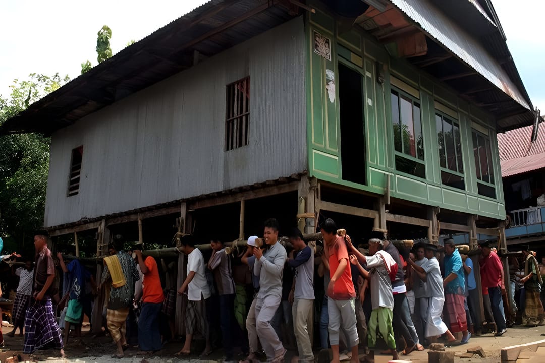 Gotong Royong : Warga Suku Bugis memindahkan rumah panggung secara utuh dalam tradisi Mappalette Bola.