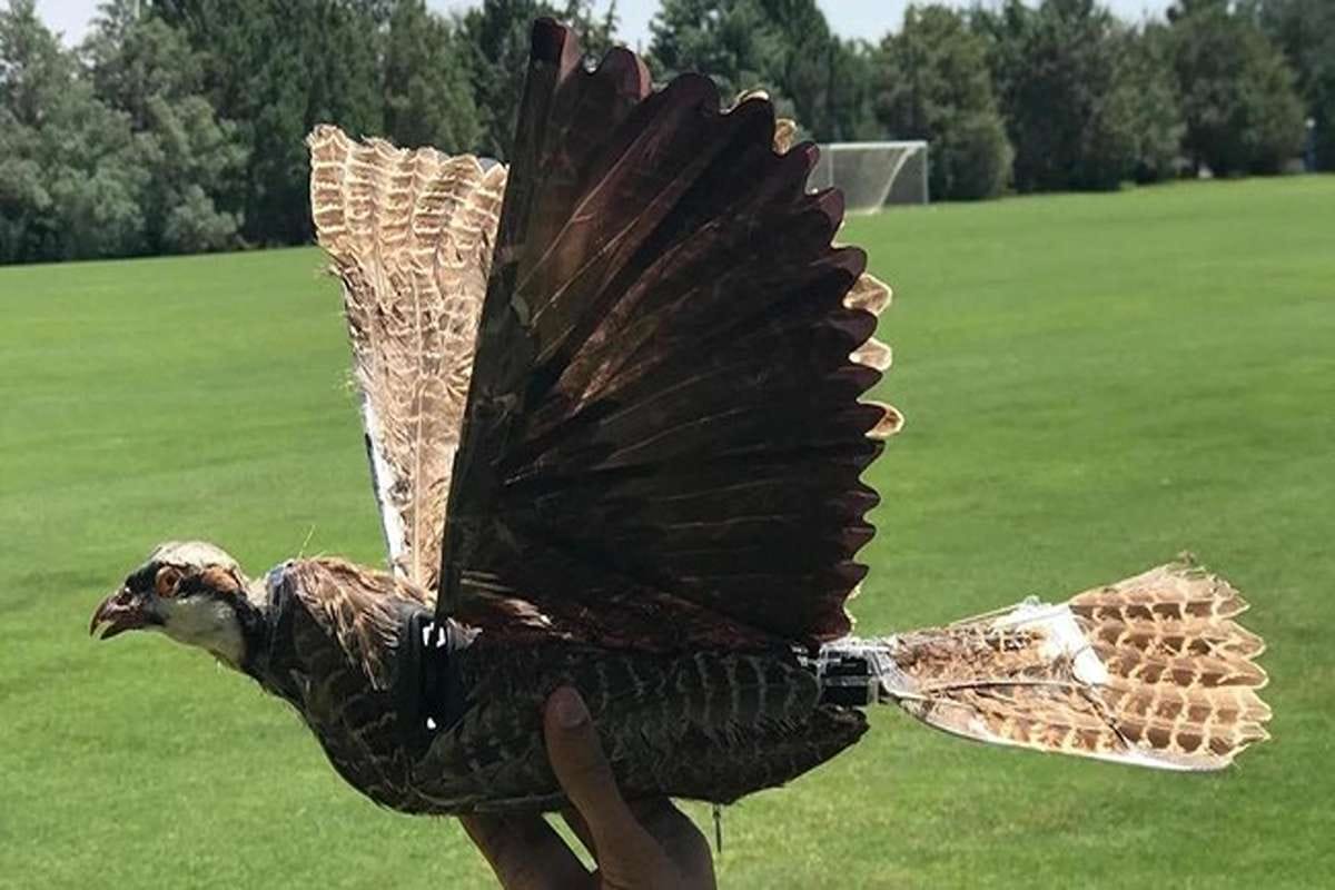 Kamuflase : Drone biomimetik berbentuk burung kecil yang dikembangkan militer China dipamerkan dalam latihan pasukan khusus.