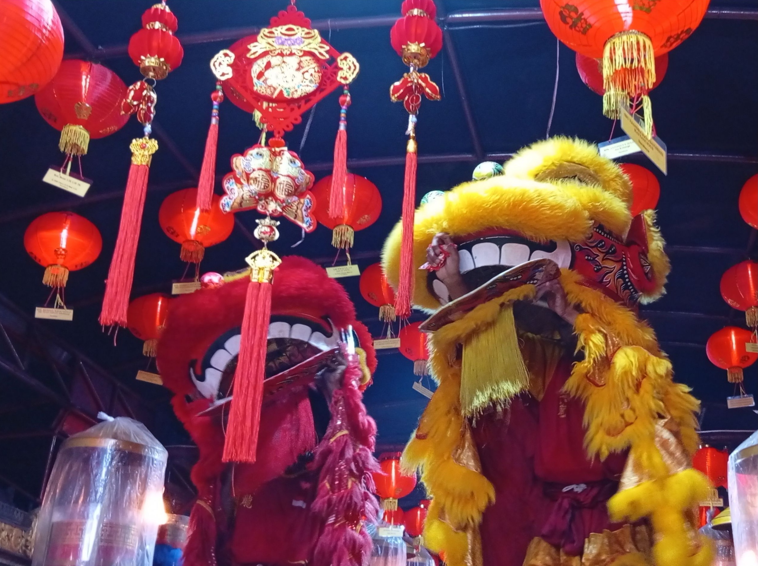 Penampilan barongsai saat mengambil angpao dan menyapa umat di klenteng Hong San Koo Tee.&nbsp;