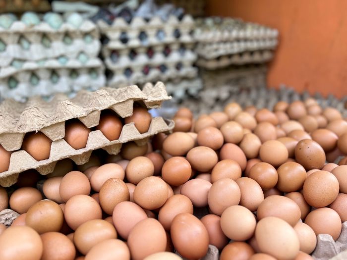 SIAP: Telur menjadi salah satu komoditas pangan yang selalu mengalami lonjakan harga saat Ramadan dan jelang Idulfitri.  