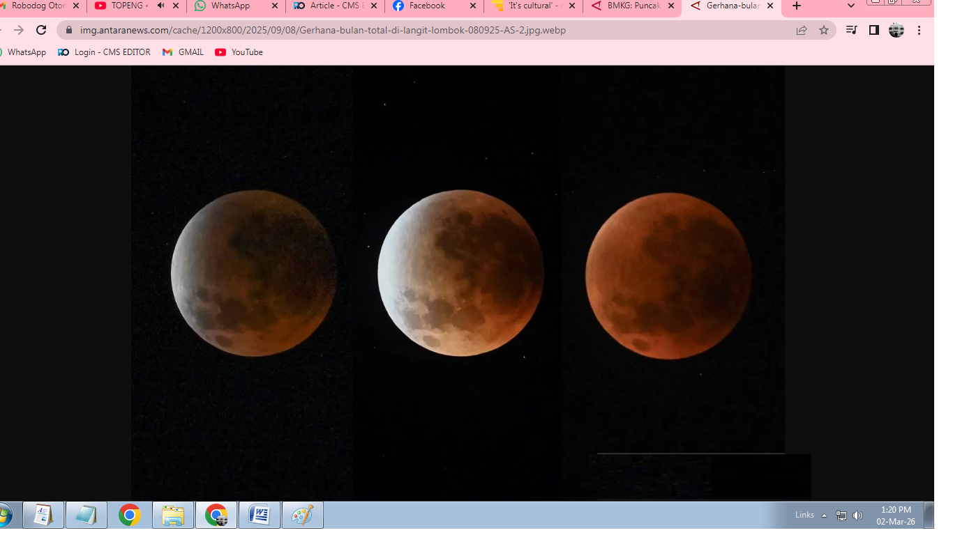 Ilustrasi gerhana bulan. (ANTARA)