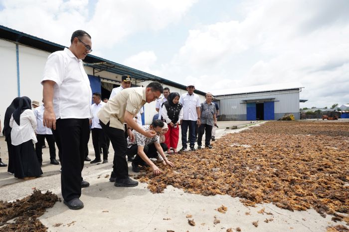 MENUJU PASAR GLOBAL: Menteri Perdagangan Budi Santoso melepas ekspor rumput laut ke Tiongkok, hasil dari gudang SRG.