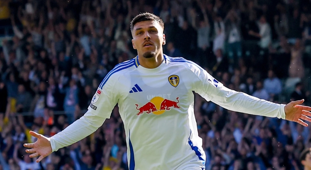 Joel Piroe akan jadi andalan Leeds United di lini depan. 