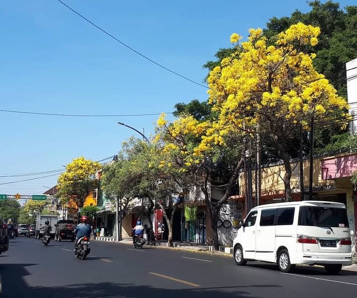 SATU ARAH: Jalan Gajah Mada saat ini menjadi kewenangan pemerintah pusat karena masih menjadi asset jalan nasional. (DIKY SANSIRI/RADAR SIDOARJO)