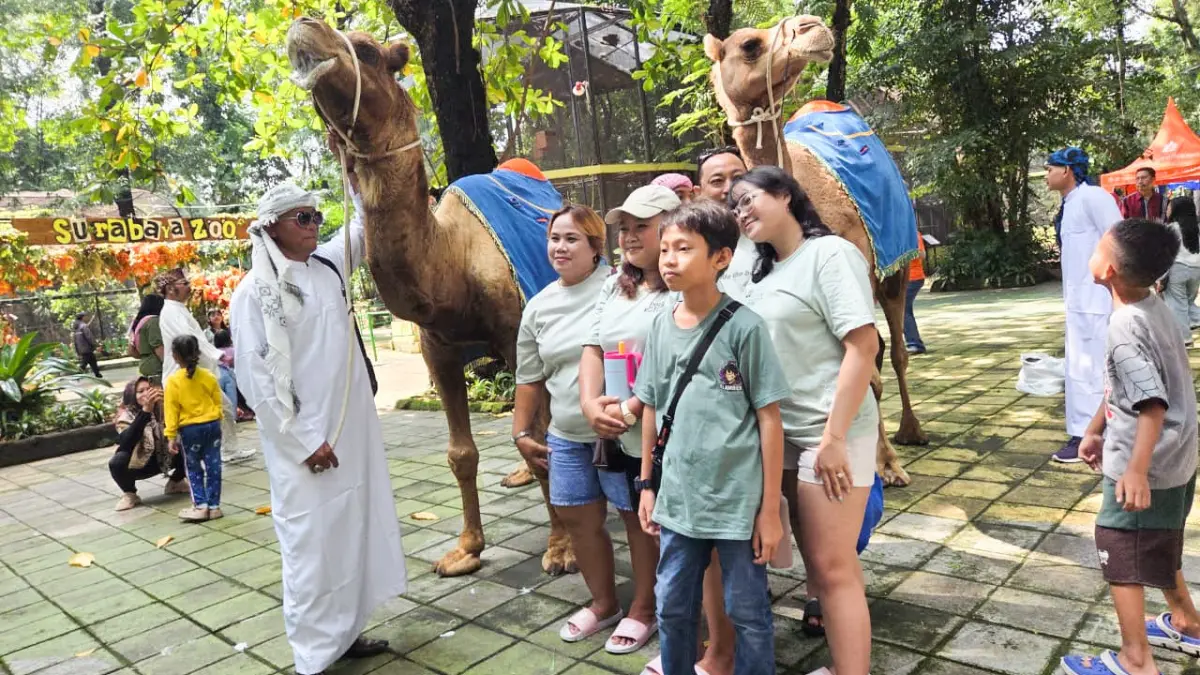 INTERAKSI LANGSUNG: Pengunjung bisa melihat dari dekat, serta berfoto bersama dengan sejumlah hewan dalam parade satwa yang digelar di Kebun Binatang Surabaya (KBS) ketika libur lebaran 2026. (ANDY SATRIA/RADAR SURABAYA)