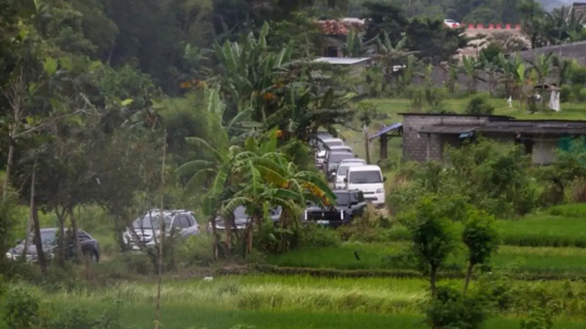 Ratusan mobil melintasi jalan sempit persawahan di Karang Kalasan, Tirtomartani, Kalasan, karena mengikuti aplikasi navigasi, Selasa (24/3). (Detikcom)