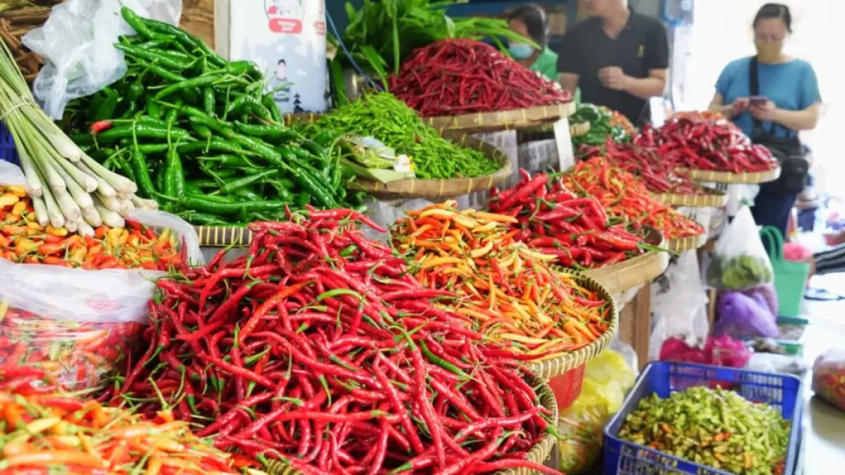 MASIH MAHAL: Penyebab kenaikan harga cabai rawit merah karena faktor cuaca. Kondisi cuaca menghambat proses panen cabai di tingkat petani. (IST)