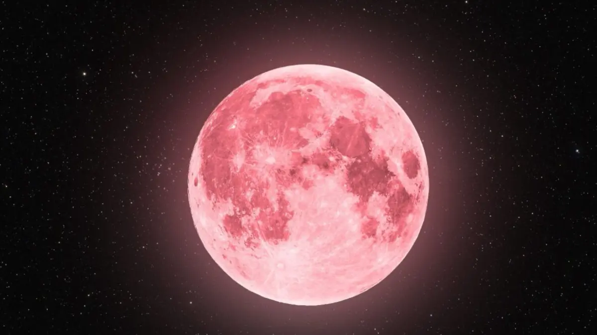 Ilustrasi. (Pinterest)