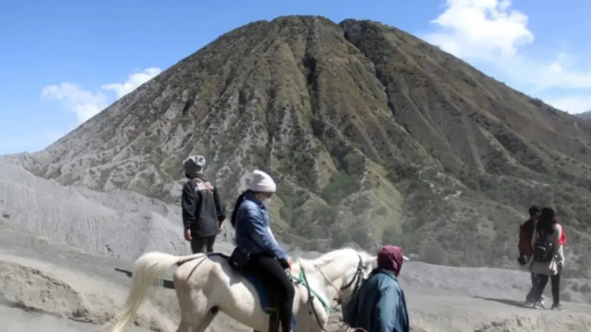 Wisatawan menunggang kuda di kawasan Gunung Bromo. (Antara) 