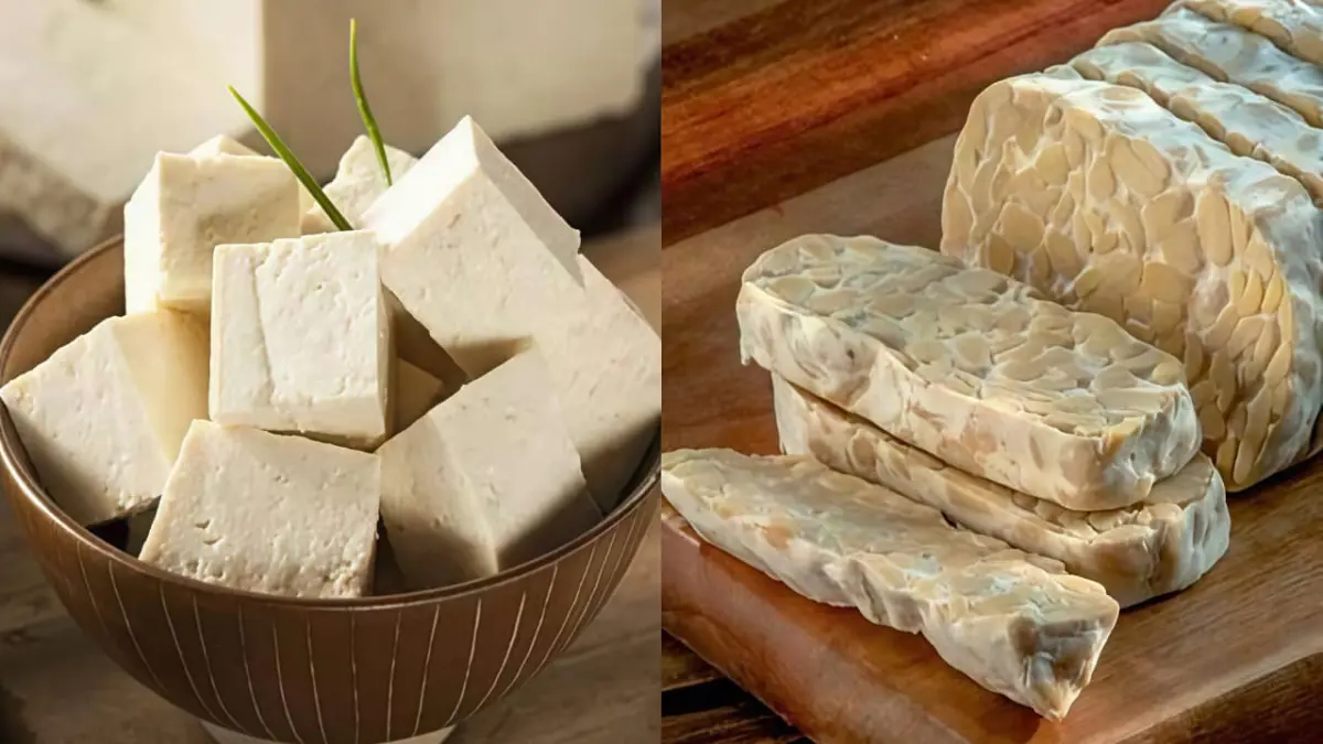Protein Nabati : Tahu dan Tempe.