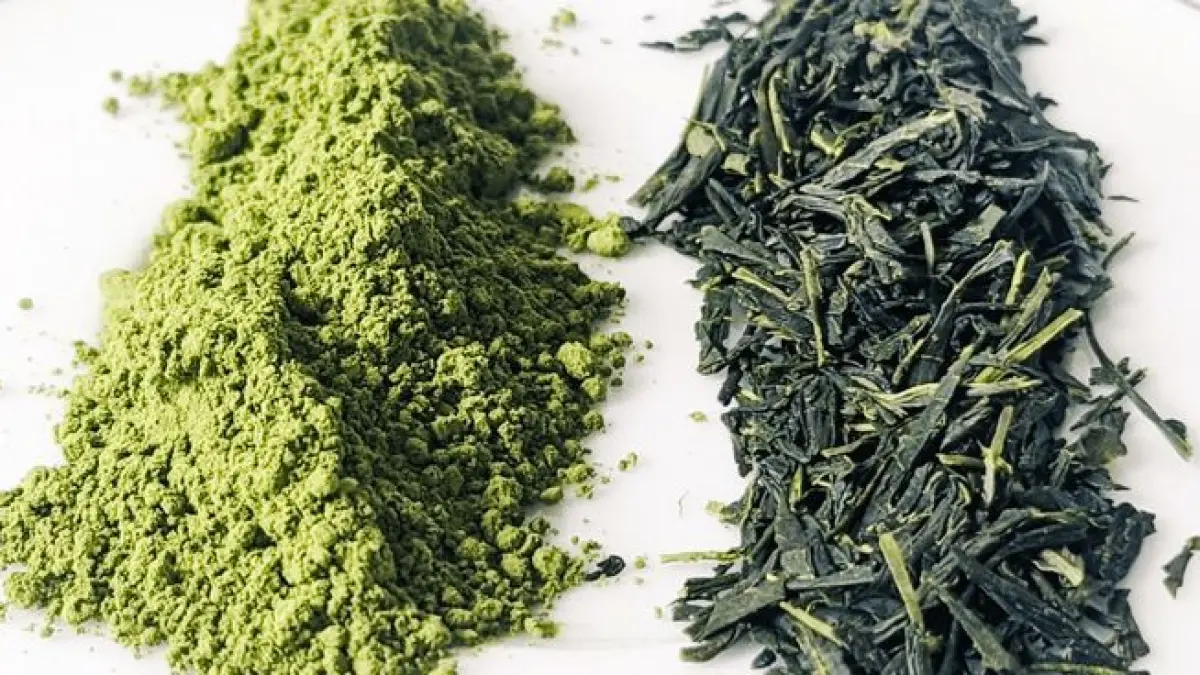 Matcha dan green tea: Punya perbedaan pada proses, rasa, hingga kandungan nutrisi. 