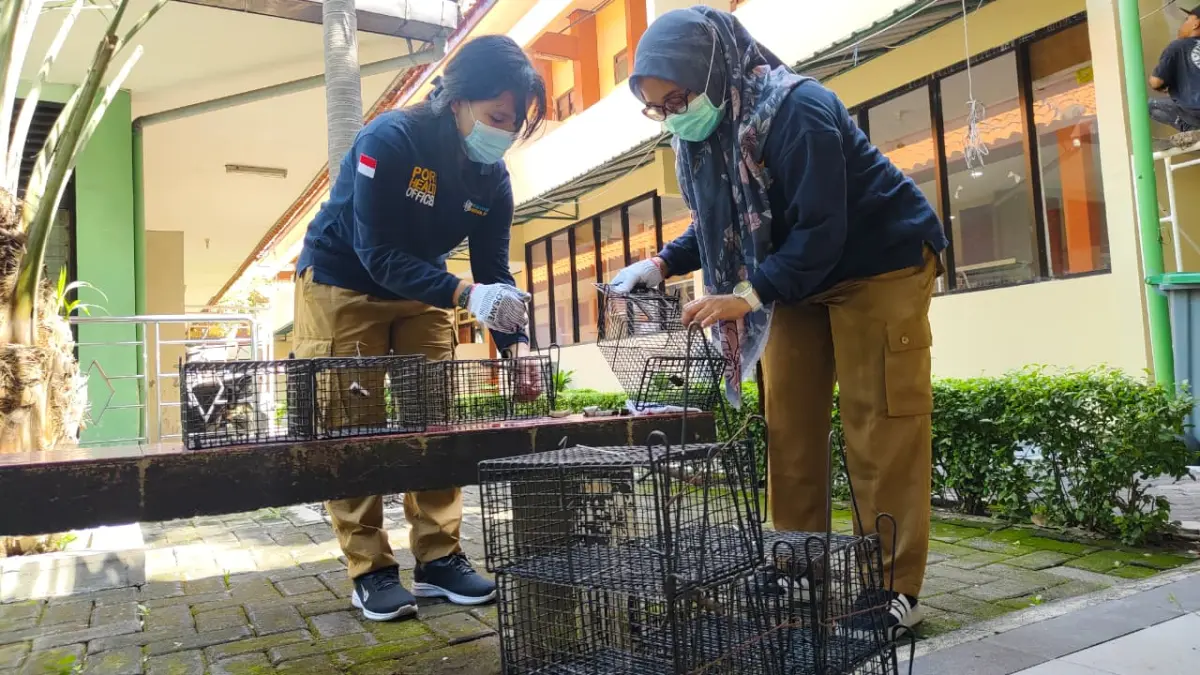 Petugas BBKK Surabaya saat melakukan pemasangan jebakan tikus yang tersebar di seluruh lingkungan Asrama Haji Embarkasi Surabaya. (Rahmat Sudrajat/Radar Surabaya)