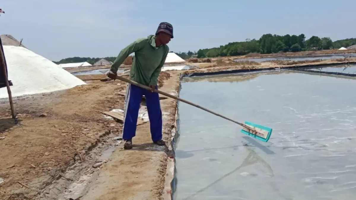 Hasil panen di musim kemarau harus mampu menopang hidup petani sepanjang tahun.  (Rahmat Sudrajat) 