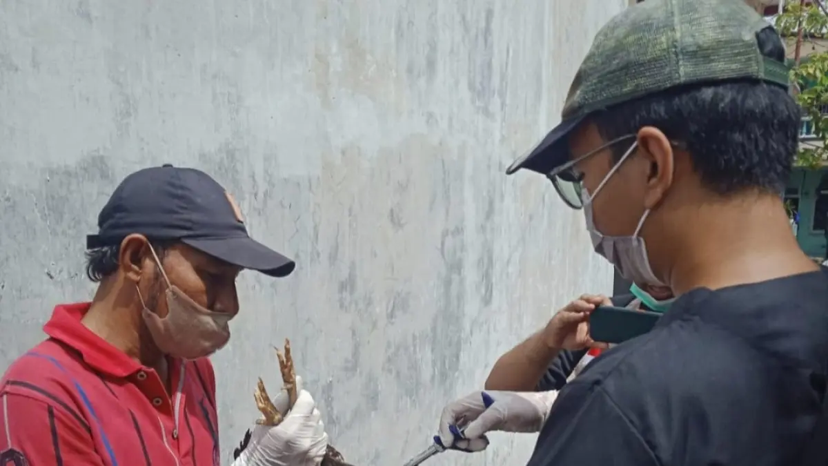 Vaksinasi unggas di Surabaya dilakukan untuk mencegah penyebaran penyakit pada hewan ternak. (Rahmat Sudrajat) 