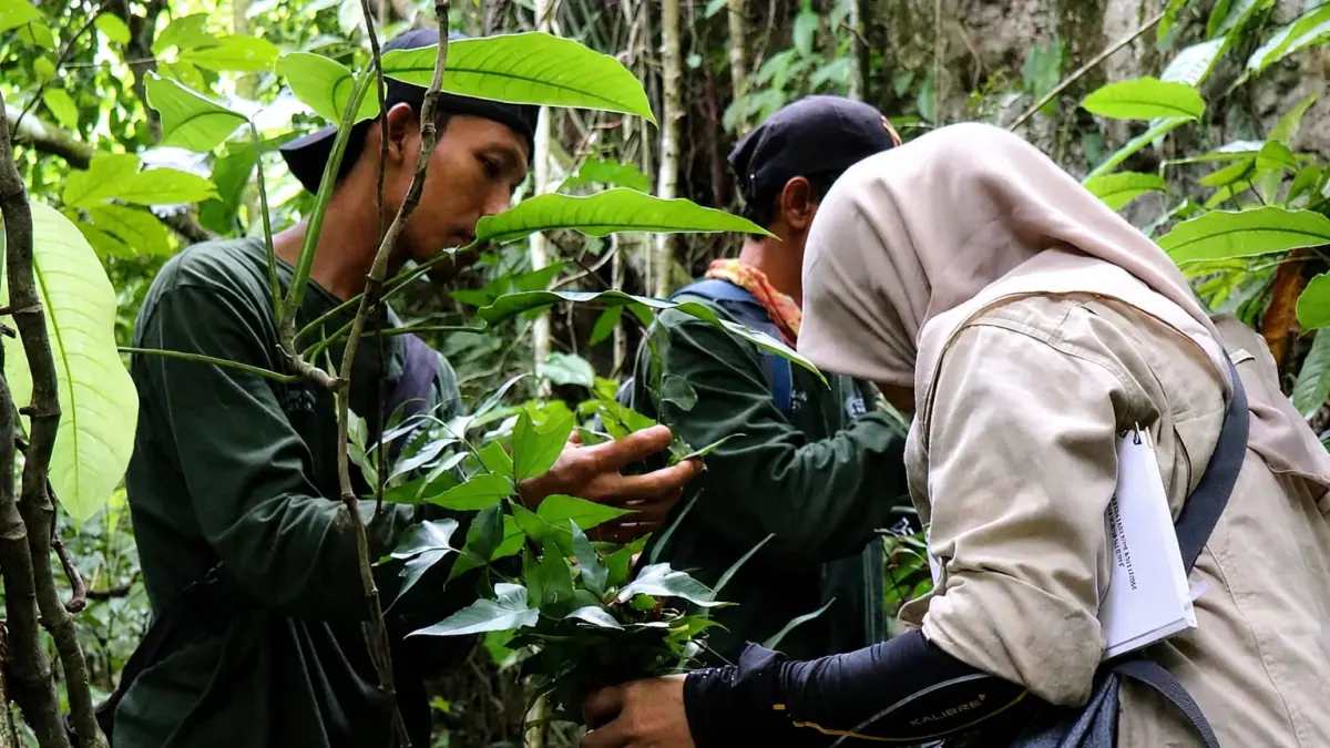 Ekspedisi: Kebun Raya Banua Kalimantan Selatan temukan 56 flora langka.