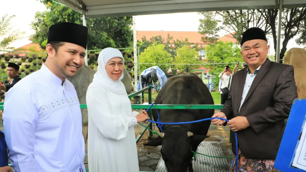 JUMBO: Gubernur Jatim Khofifah dan Wagub Jatim usai Salat Idul Adha menyerahkan sapi kurban dan juga sapi Presiden Prabowo. (IST/RADAR SURABAYA)
