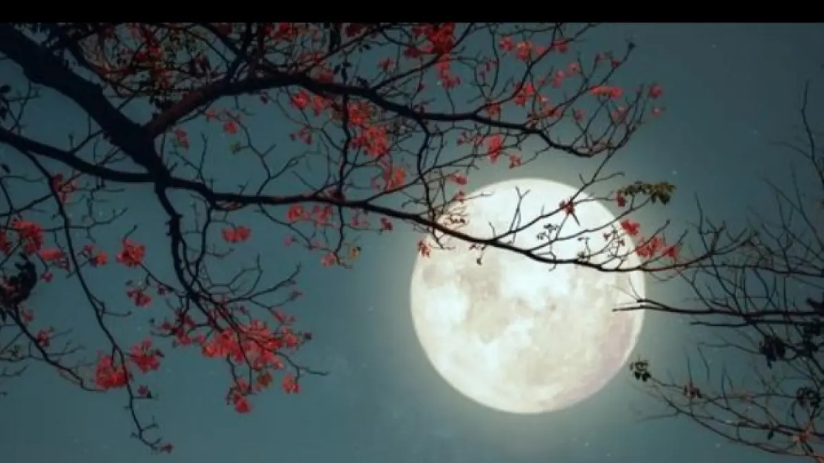 Bulan purnama berpotensi menimbulkan pasang laut maksimum. (IST) 