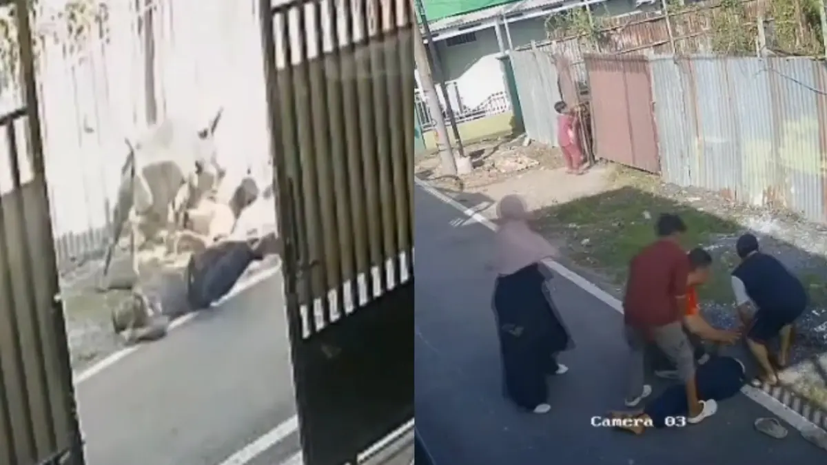 Seorang warga Kampung Arab, Banjarmasin meninggal usai terseret dan ditabrak sapi kurban yang lepas. (Instagram/@indonesia__today)