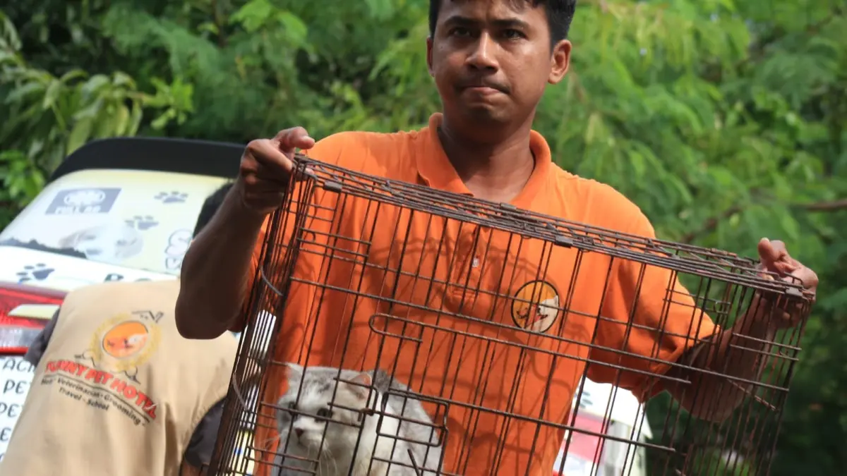 
JINAK: Hewan peliharaan seperti kucing perlu mendapatkan penanganan kesehatan secara teliti dan menyeluruh. (RAHMAT SUDRAJAT/RADAR SURABAYA)