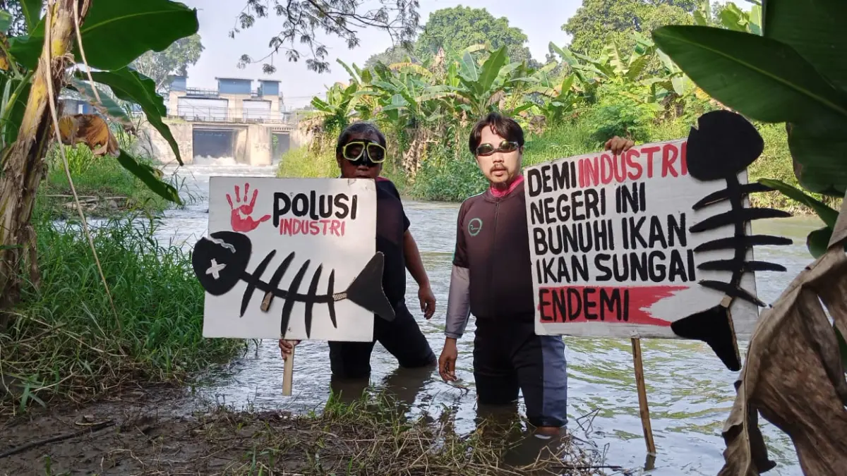 PEDULI: Aksi Ngintir yang dilakukan oleh sejumlah aktivis lingkungan di Kali Surabaya untuk melakukan penelitian spesies ikan.