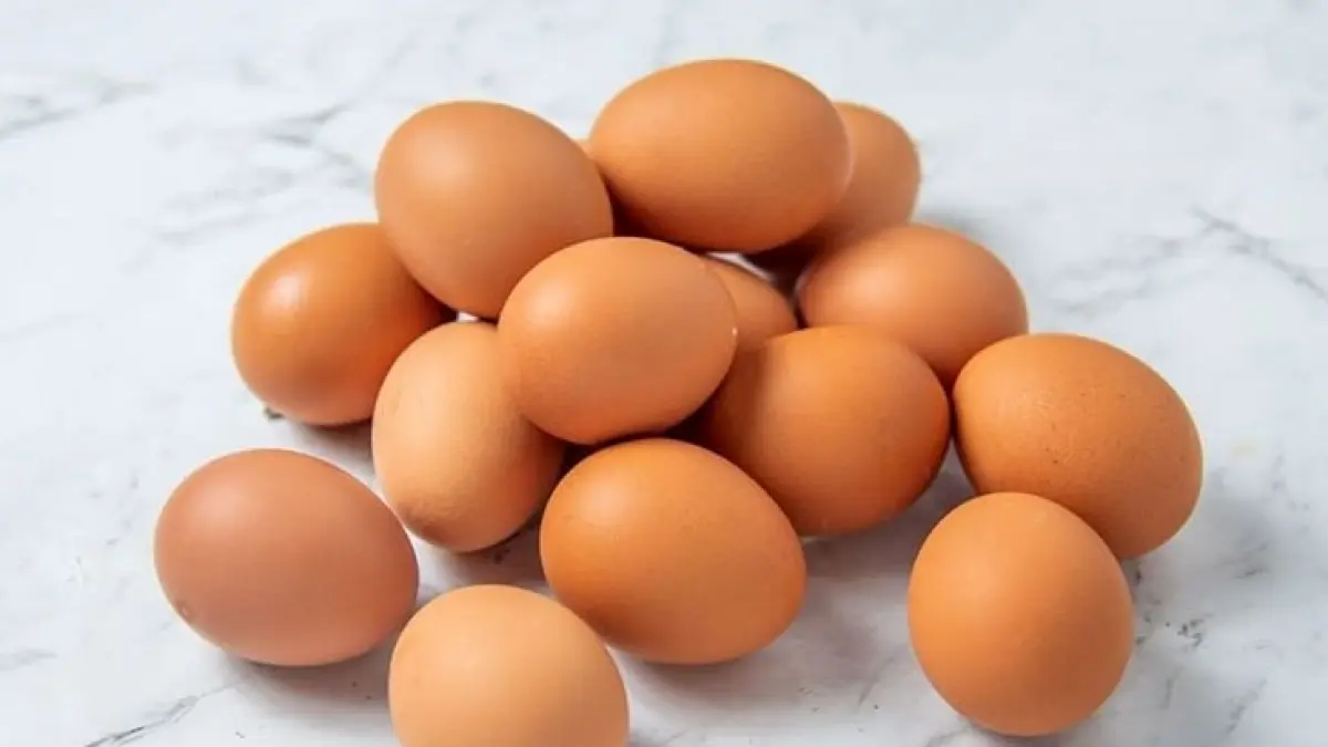 Ilustrasi telur ayam konsumsi yang berasal dari peternakan ayam petelur. Foto : Pinterest.