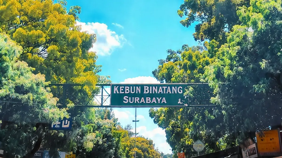 Ilustrasi cuaca cerah di kawasan kebun Binatang Surabaya. (AI)
