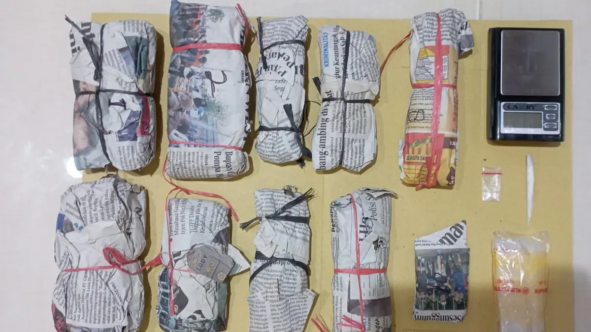 DISITA: Barang bukti ganja dan sabu yang diamankan Satresnarkoba Polrestabes Surabaya dari tersangka MS. (IST/RADAR SURABAYA)