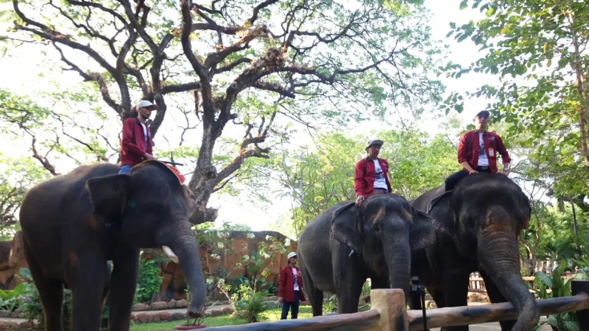 Kebun Binatang Surabaya masih menjadi destinasi wisata favorit di Surabaya. (ANDY SATRIA/RADAR SURABAYA)
