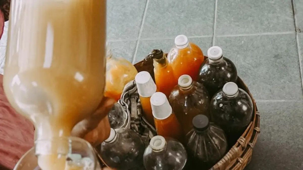 Manfaat jamu Sinom bagi kesehatan tubuh. Foto: Ist.